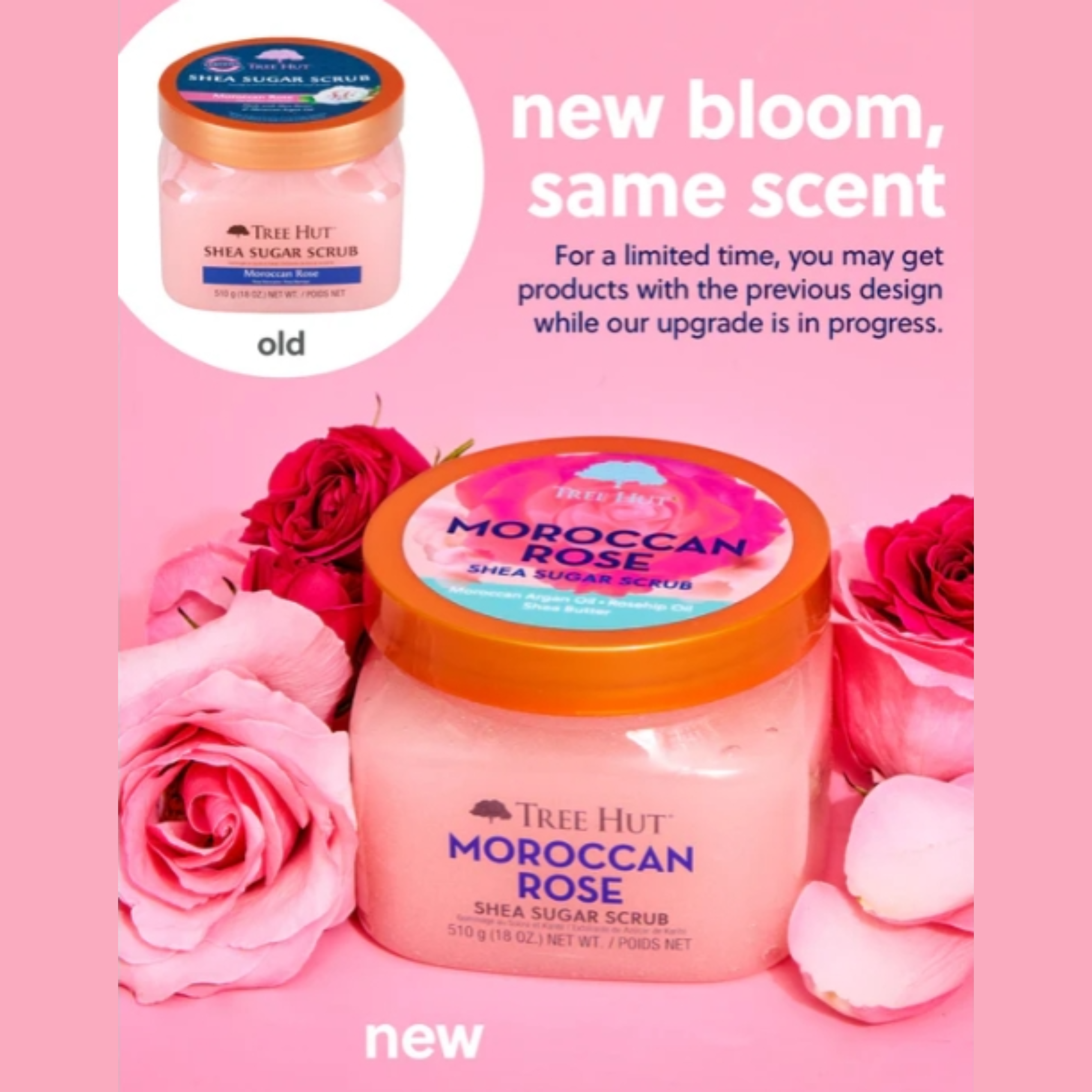 Tree Hut - Moroccan Rose Shea Sugar Scrub
