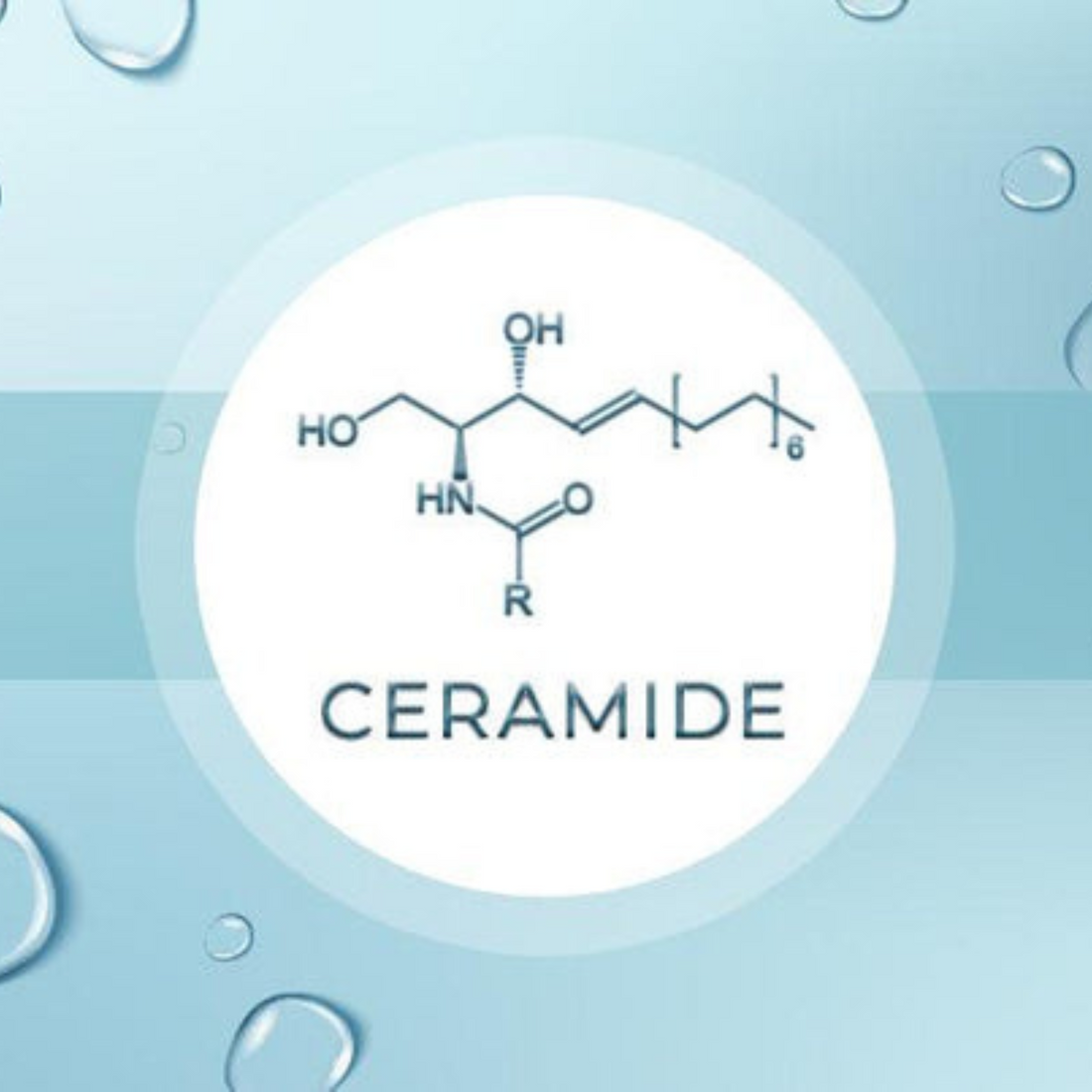 Olay -  Hydrating Ceramide ( 20 fl oz/ 591ml)