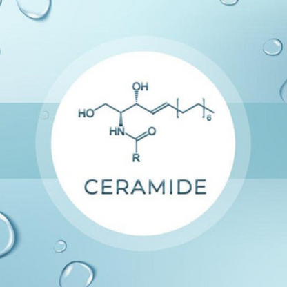 Olay -  Hydrating Ceramide ( 20 fl oz/ 591ml)