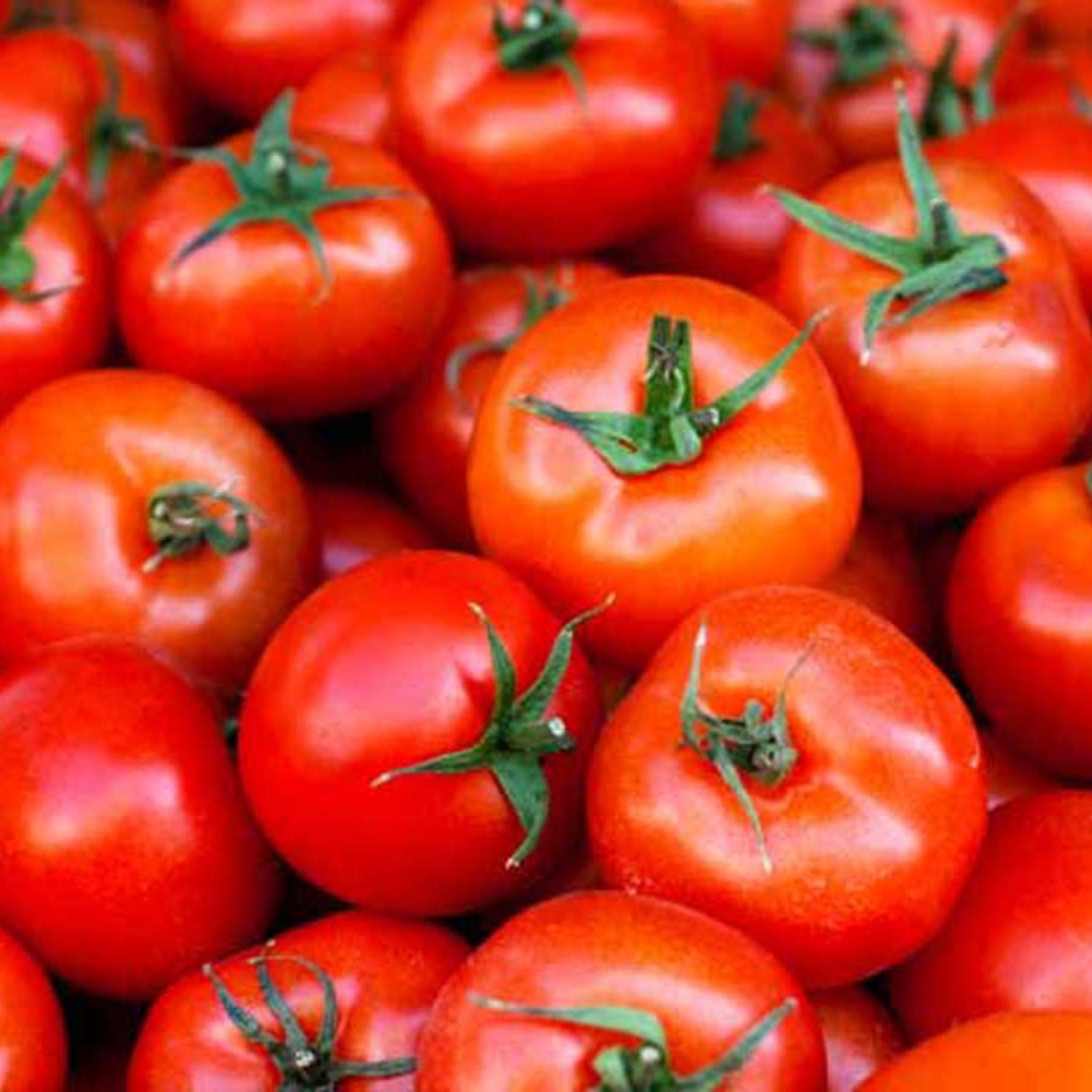 Tomato gel 99%
